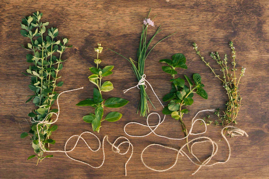 Essential Oil Plants