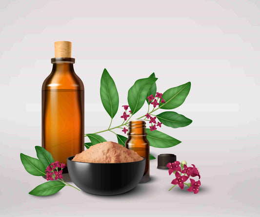5 Must-Have Essential Oils for a Healthier Lifestyle